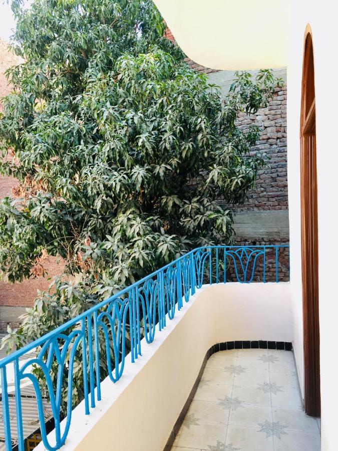 Sunflower Guest House Luxor West Bank Ngoại thất bức ảnh
